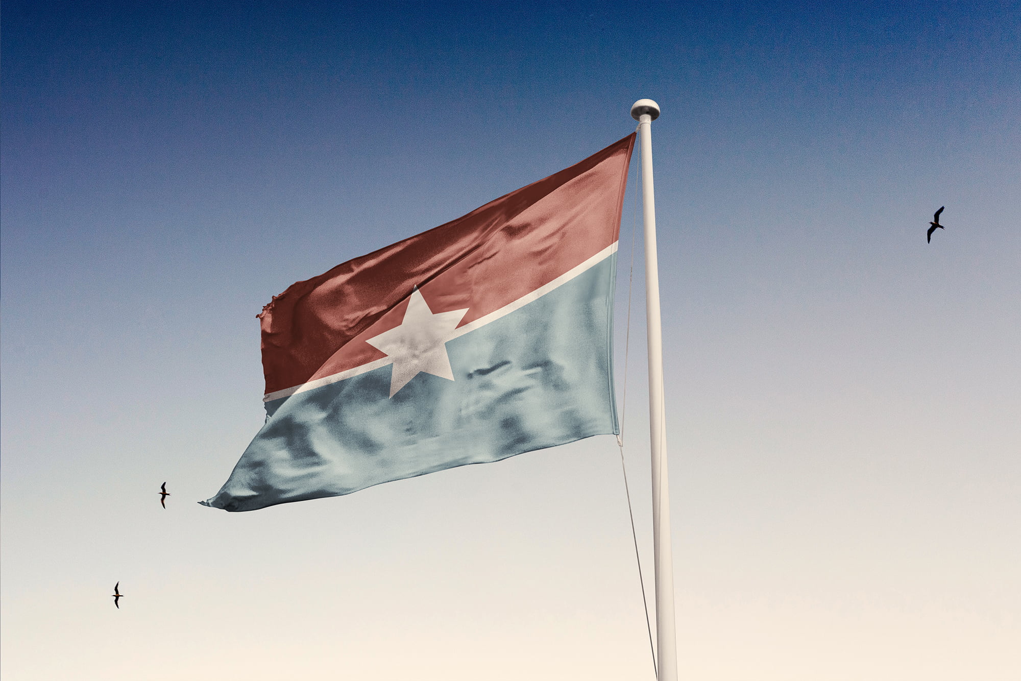 Galveston Resilience Flag Galveston Historical Foundation
